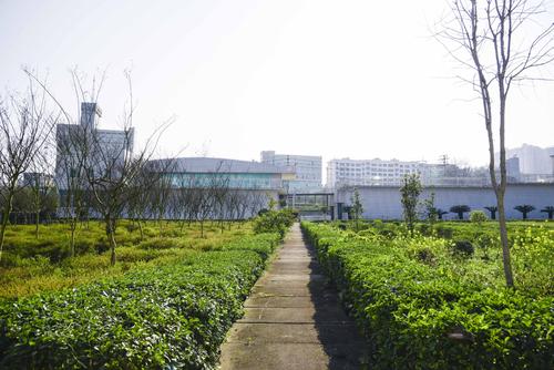 深圳市宝安水厂项目图